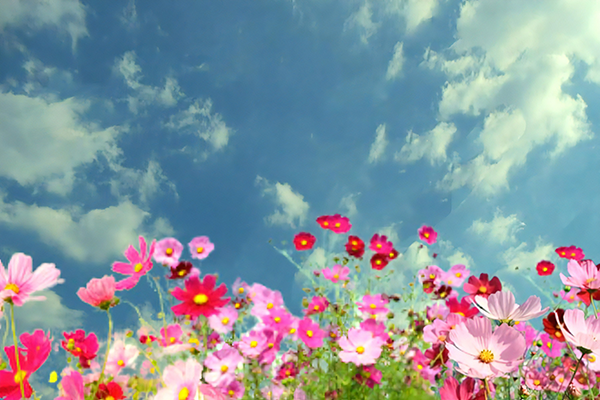 代表・北條努からのご挨拶